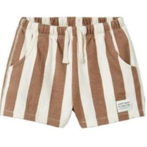 ISO brown stripe shorts from Zara